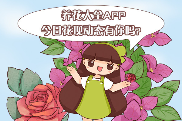 今日花現(xiàn)發(fā)動(dòng)態(tài)了嗎？你忘記很多事情，但生活從未忘記你