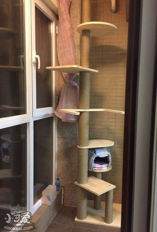 貓爬架diy13