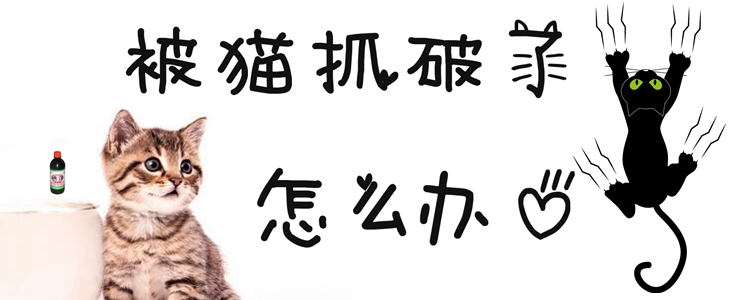 被貓抓破了怎么辦