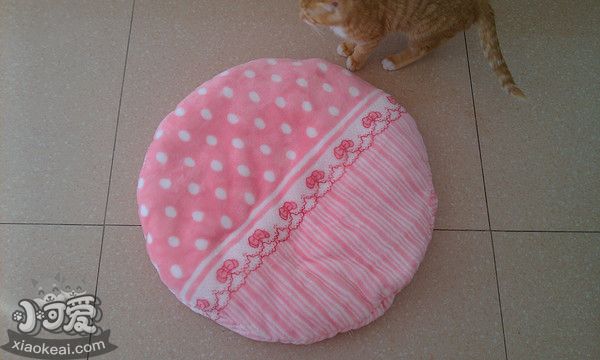 貓窩怎么做7