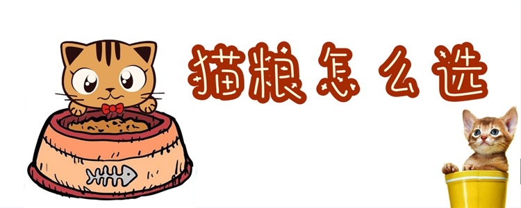 貓糧怎么選