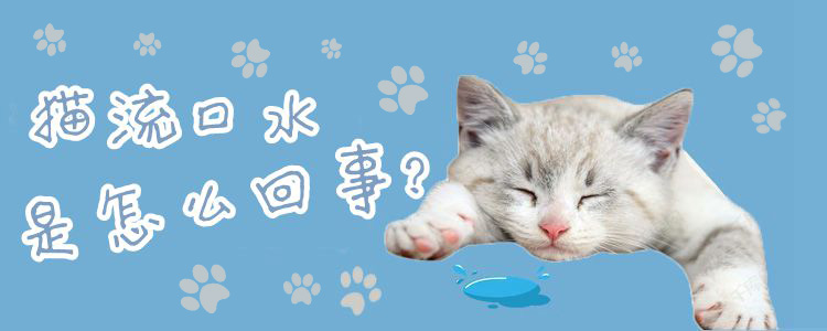 貓流口水是怎么回事