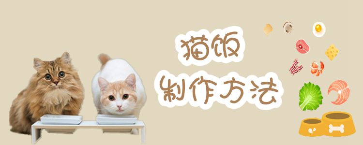 貓飯制作方法