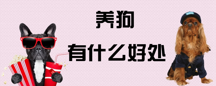 養(yǎng)狗有什么好處