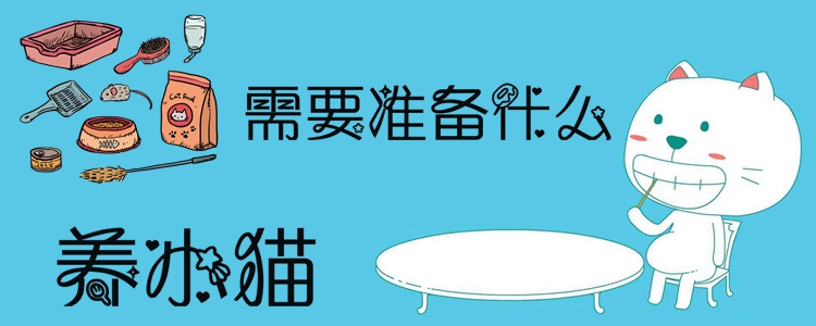 養(yǎng)小貓需要準(zhǔn)備什么