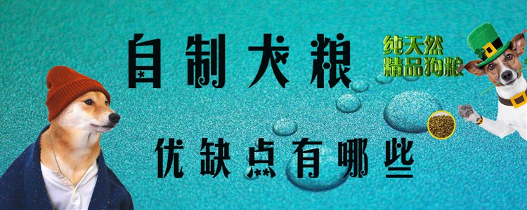 自制犬糧優(yōu)缺點有哪些