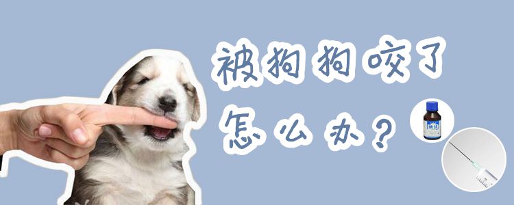被狗狗咬了怎么辦
