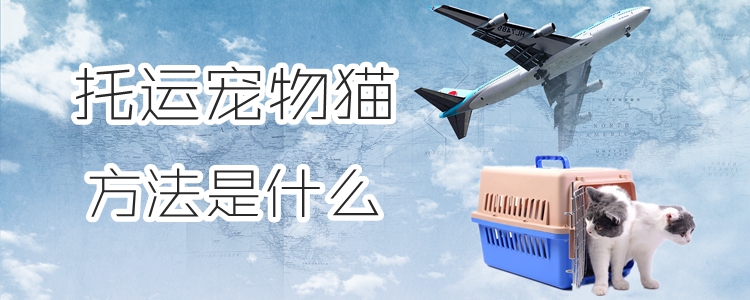 托運(yùn)寵物貓咪方法是什么