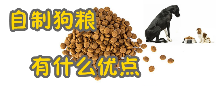 自制狗糧有什么優(yōu)點(diǎn)