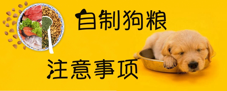 自制狗糧注意事項(xiàng)
