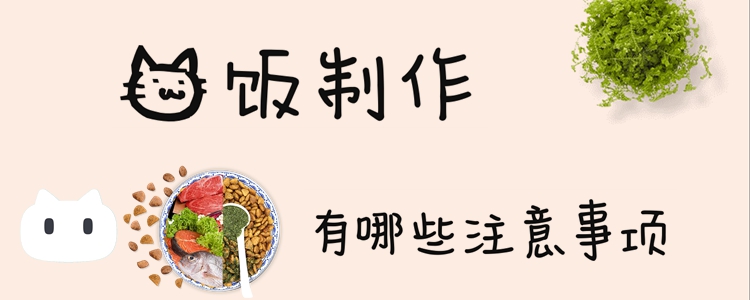 貓飯制作有哪些注意事項(xiàng)