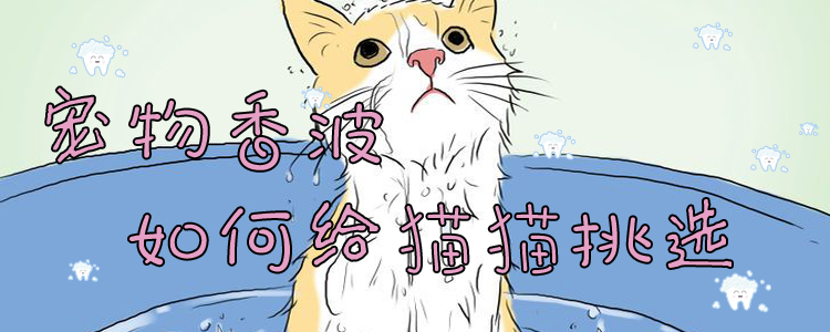 寵物香波如何給貓貓?zhí)暨x
