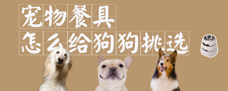 寵物餐具怎么給狗狗挑選