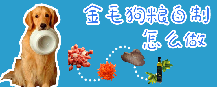 金毛狗糧自制怎么做