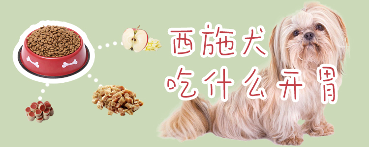西施犬吃什么開(kāi)胃