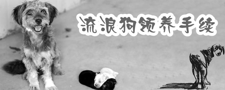 流浪狗領(lǐng)養(yǎng)手續(xù)