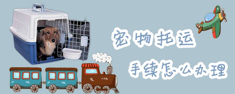 寵物托運(yùn)手續(xù)怎么辦理