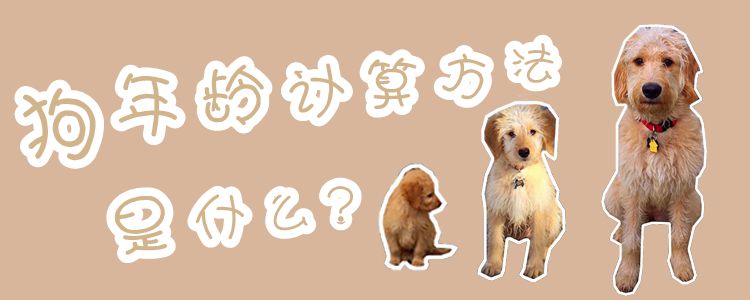狗年齡計算方法是什么