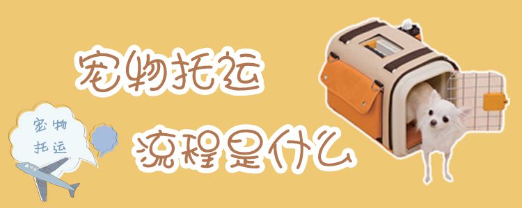 寵物托運流程是什么
