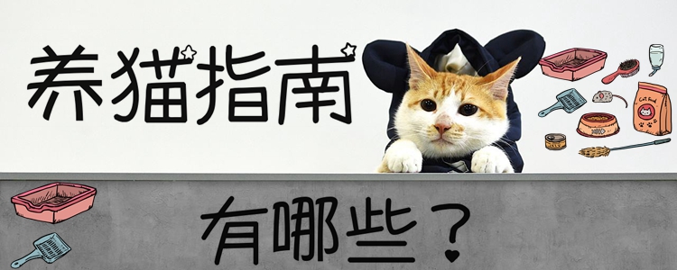 養(yǎng)貓指南有哪些