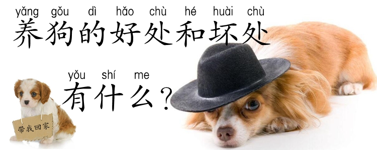 養(yǎng)狗的好處和壞處有什么