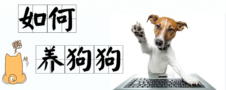 如何養(yǎng)狗狗