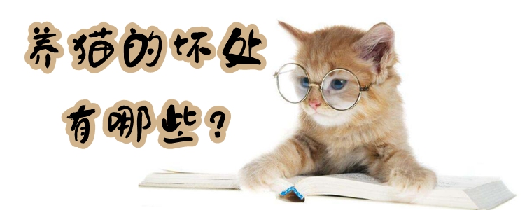 養(yǎng)貓的壞處有哪些