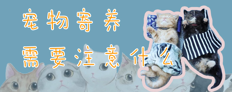 寵物寄養(yǎng)需要注意什么