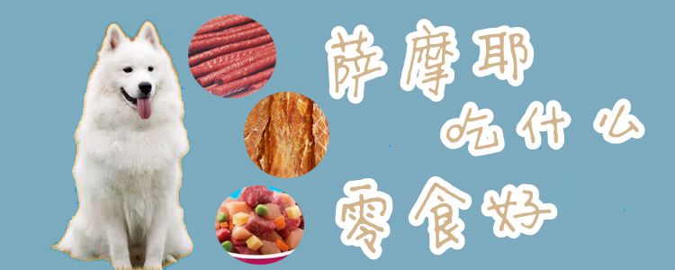 薩摩耶吃什么零食好1