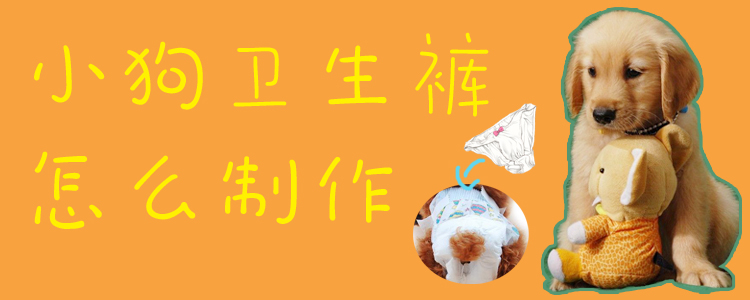 小狗衛(wèi)生褲怎么制作