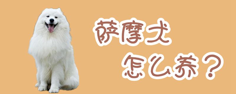 薩摩犬怎么養(yǎng)