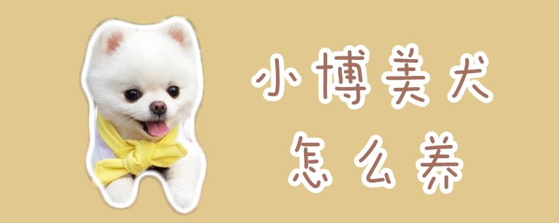 小博美犬怎么養(yǎng)