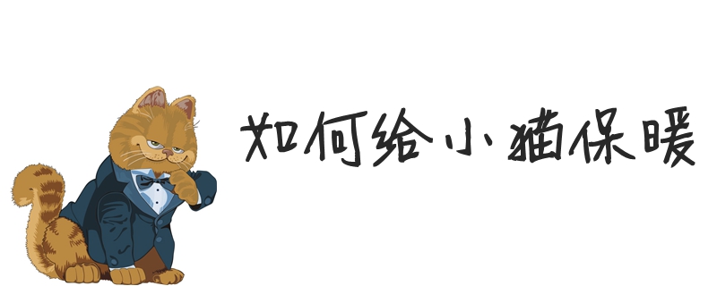 如何給小貓保暖