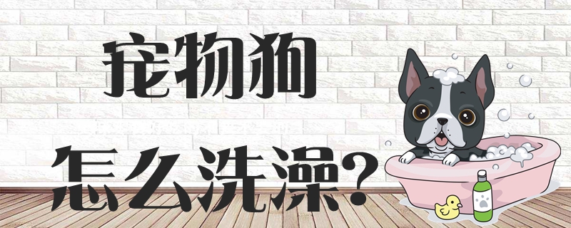 寵物狗怎么洗澡