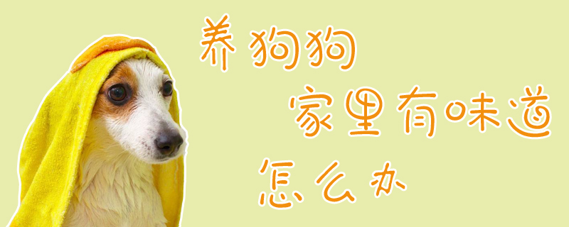 養(yǎng)狗狗家里有味道怎么辦