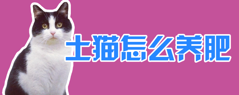 土貓?jiān)趺答B(yǎng)肥