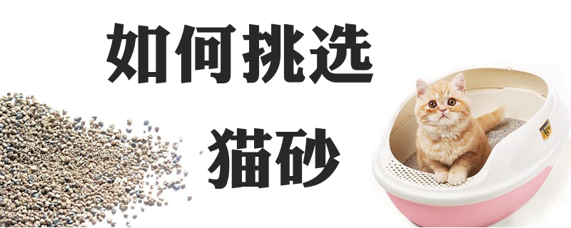 如何挑選貓砂