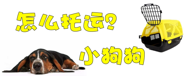 小狗狗怎么托運