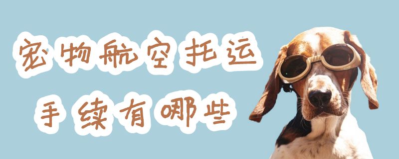 寵物航空托運(yùn)手續(xù)有哪些