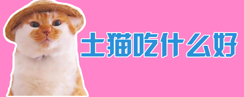 土貓吃什么好