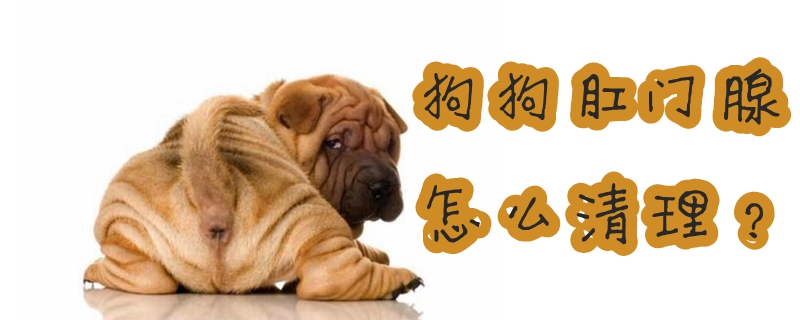 狗狗肛門腺怎么清理