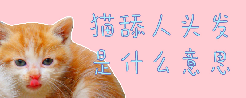 貓?zhí)蛉祟^發(fā)是什么意思