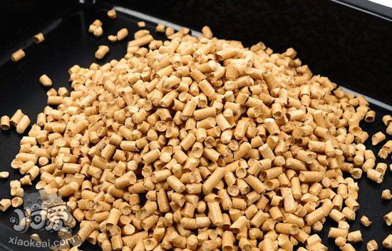 哪種貓砂比較好 常用的幾款貓砂的特點2