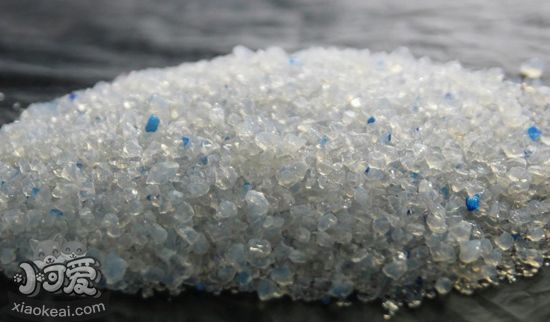 哪種貓砂比較好 常用的幾款貓砂的特點3