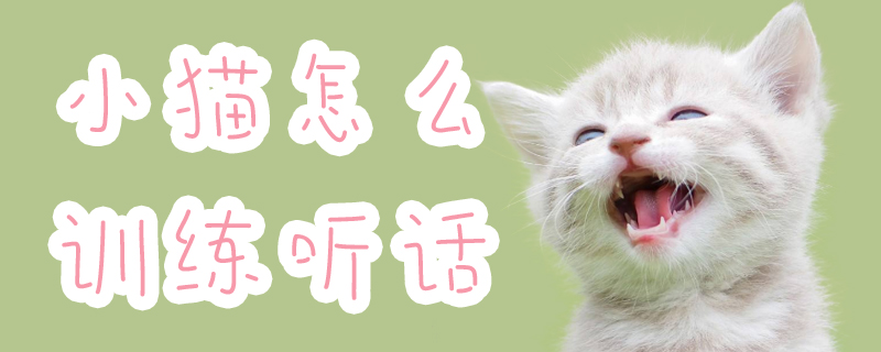 小貓怎么訓(xùn)練聽話