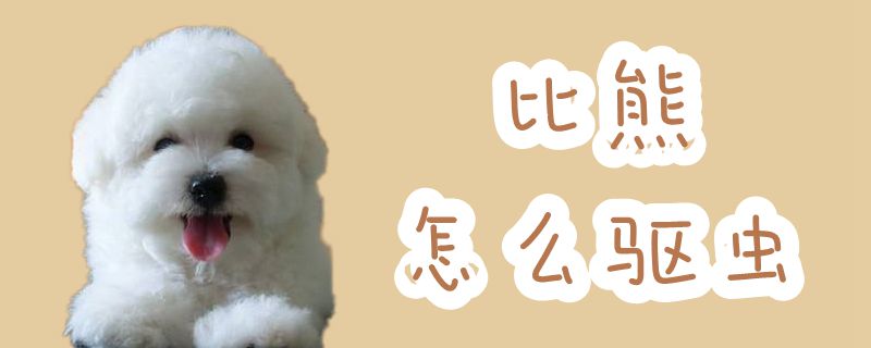 比熊怎么驅(qū)蟲