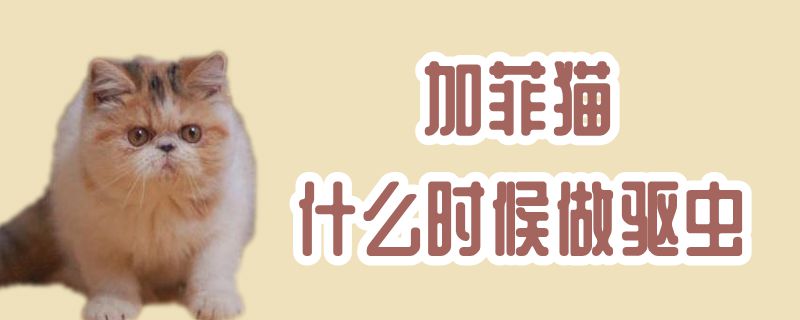 加菲貓什么時候做驅(qū)蟲