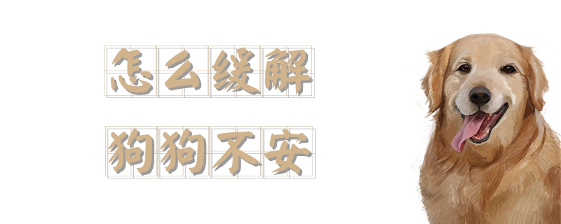 怎么緩解狗狗不安