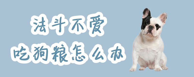 法斗不愛吃狗糧怎么辦