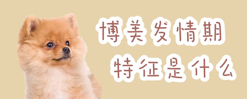 博美發(fā)情期特征是什么